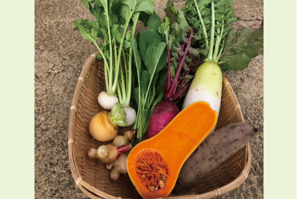 11.15(土)　農家直送！富士山の麓から野菜市